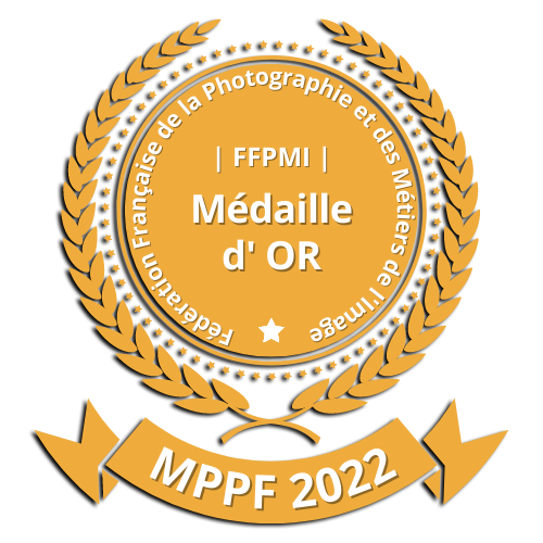 Médaille_or Médaille d'or MPPF 2022